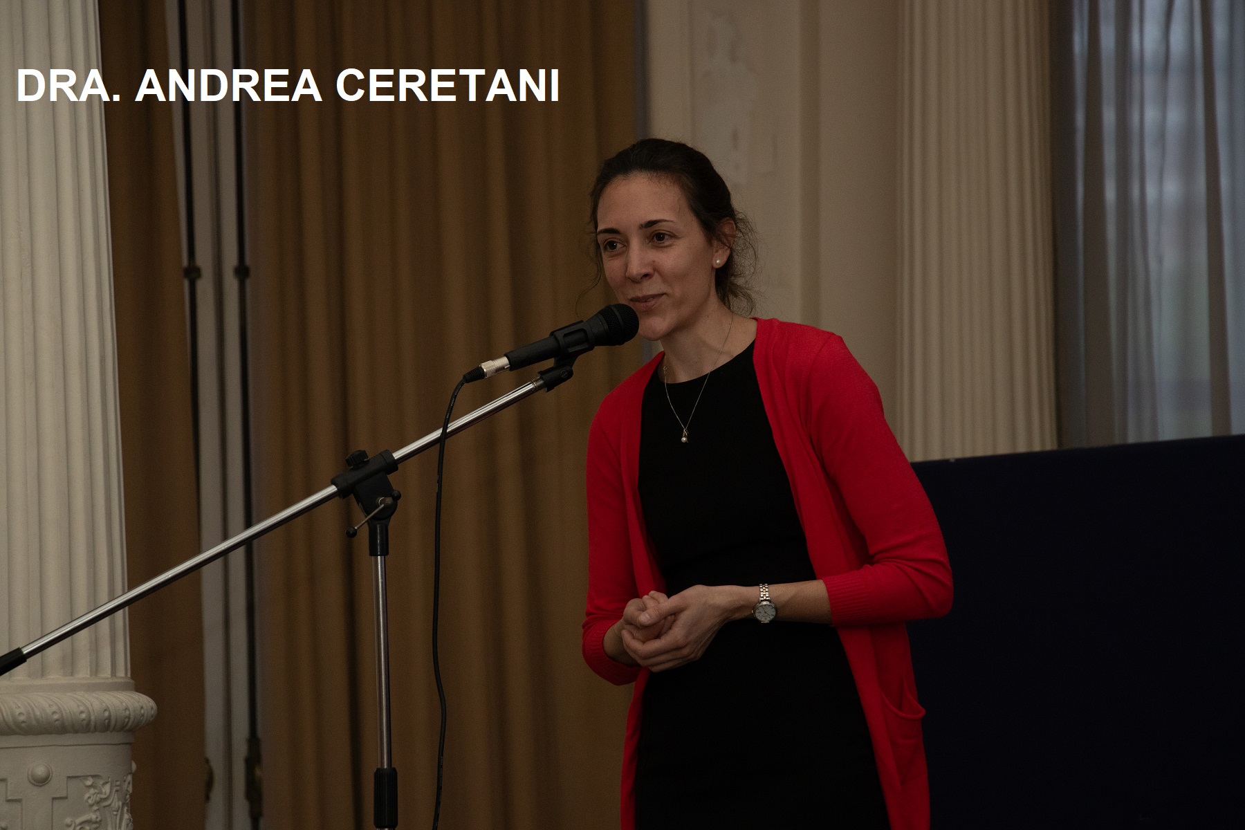 Premios 2024